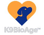Banner-logo