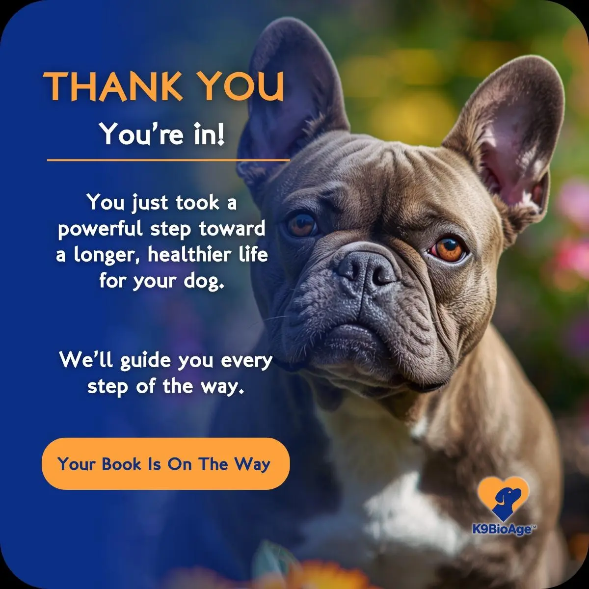 thank you message